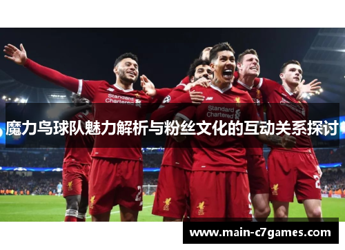 魔力鸟球队魅力解析与粉丝文化的互动关系探讨