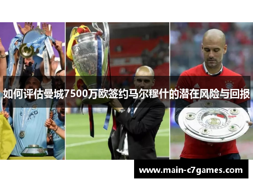 如何评估曼城7500万欧签约马尔穆什的潜在风险与回报