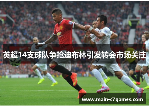 英超14支球队争抢迪布林引发转会市场关注